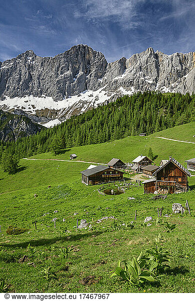 Neustattalm huts on green grass at Styria  Austria