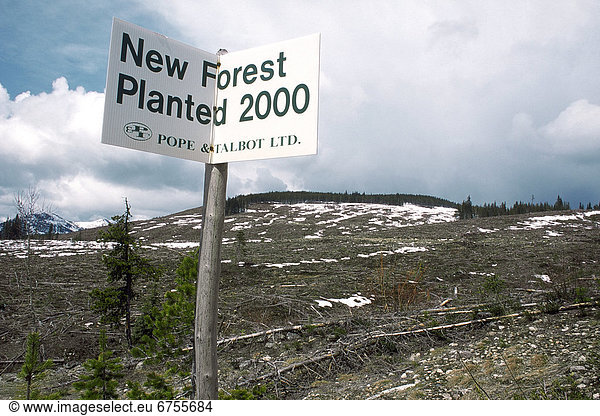 New Forest Sign in British Columbia
