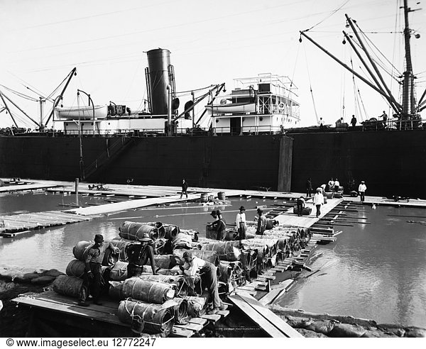 NEW ORLEANS: SHIPPING  1903. Loading cowhides onto a steamship in New Orleans  Louisiana. Photograph  c1903.