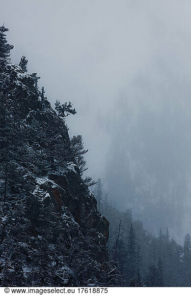 New snow and fog on canyon walls.