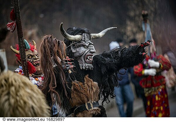 New Year Bear Dancing Festival  Comanesti  Moldova  Romania