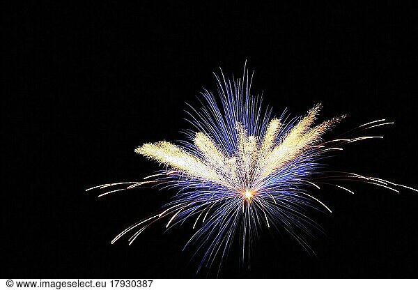 New Year's Eve Fireworks and a Happy New Year. Released firework flowers against a black background