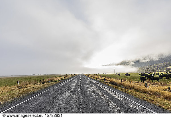 New Zealand  Bealey  Diminishing perspective of empty West Coast Road