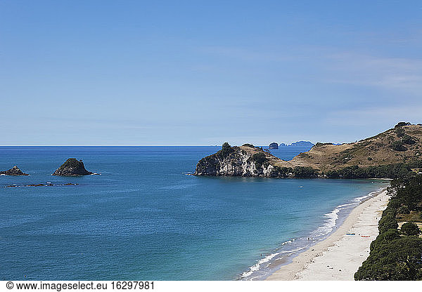 New Zealand  Coromandel Peninsula  Hahei Beach