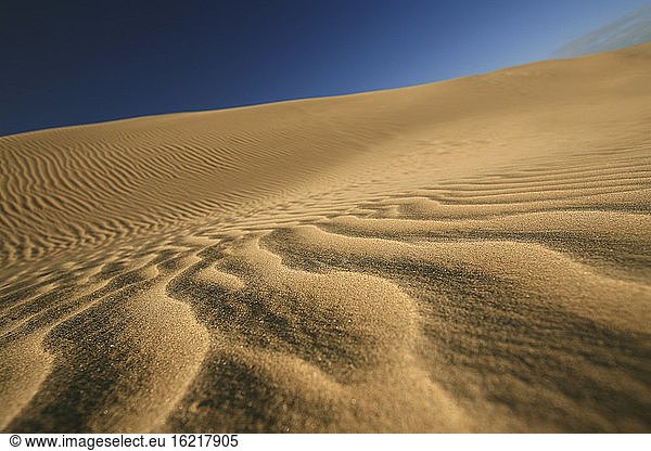 New Zealand  Desert scenery  dunes