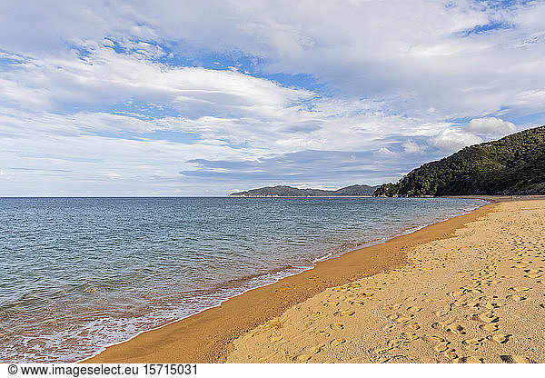 New Zealand  Footprints along sandy coastal beach