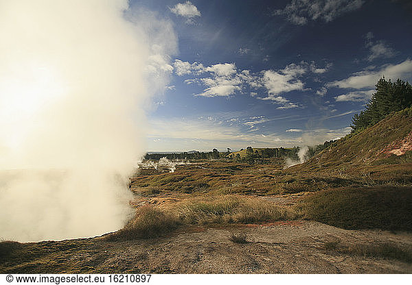 New Zealand  Geothermal activity  Steam
