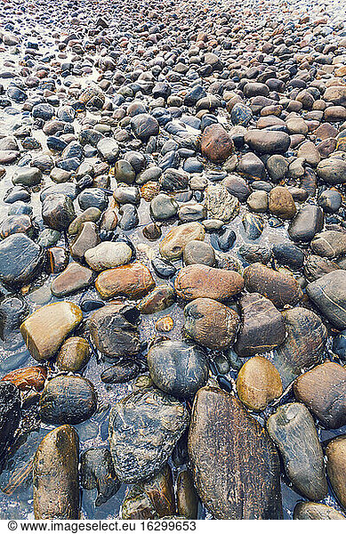 New Zealand  Golden Bay  pebbles at beach