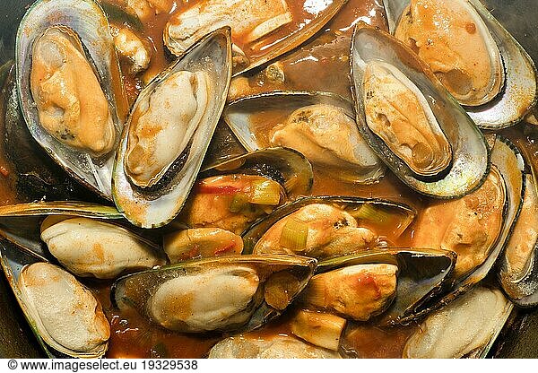 New zealand green-lipped mussels (Perna canaliculus) from New Zealand  were lightly steamed in a tomato broth with chilli  food photography