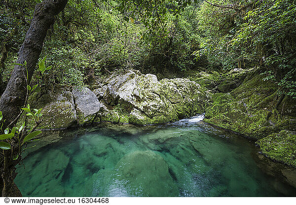 New Zealand  Kahurangi National Park  Te Puna o Riuwaka  spring of water