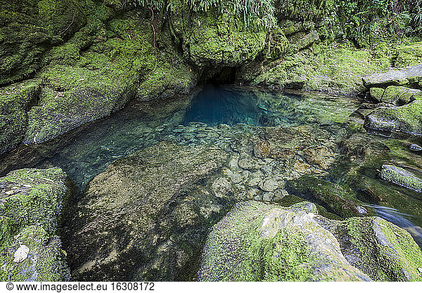 New Zealand  Kahurangi National Park  Te Puna o Riuwaka  spring of water