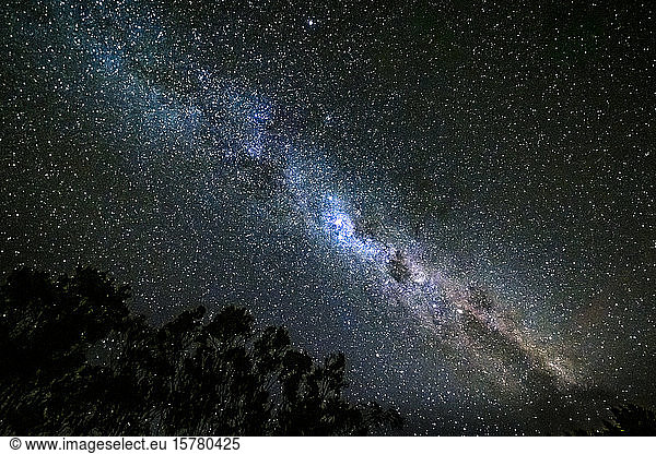 New Zealand  Milky Way galaxy on starry night sky
