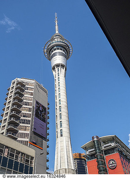 New Zealand  North Island  Auckland  Sky Tower