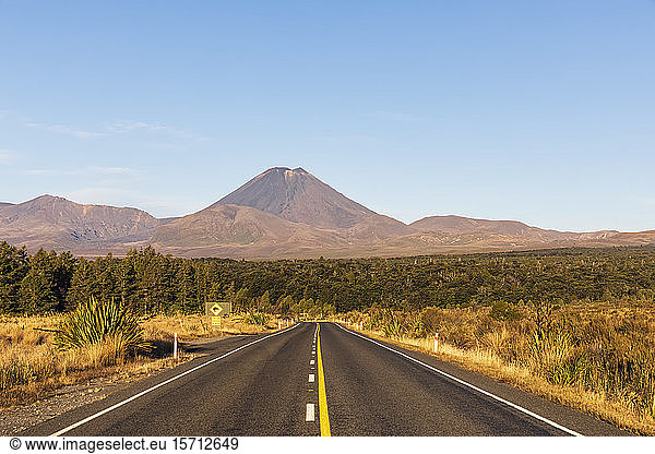 New Zealand  North Island  Diminishing perspective of State Highway 48 with Mount Ngauruhoe looming in background