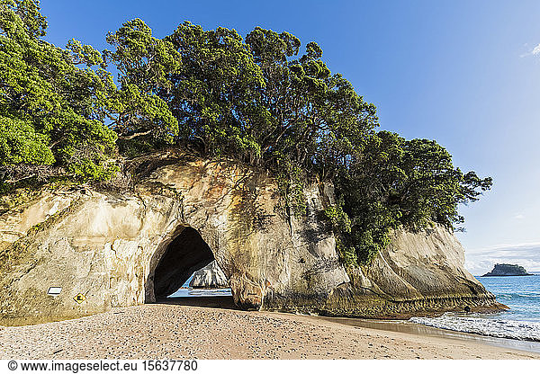 New Zealand  North Island  Waikato  Natural arch of Cathedral Cove
