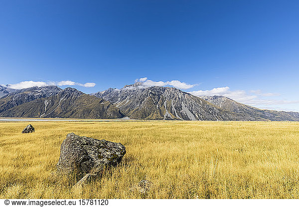 New Zealand  Oceania  South Island  Canterbury  Ben Ohau  Southern Alps (New Zealand Alps)  Mount Cook National Park  Grassy field in Tasman Valley