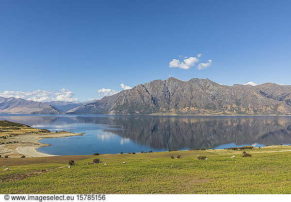 New Zealand  Queenstown-Lakes District  Wanaka  Scenic view of Lake Hawea in summer
