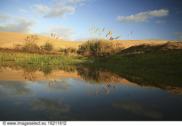 New Zealand  Reflections in a lake  sand dunes in background