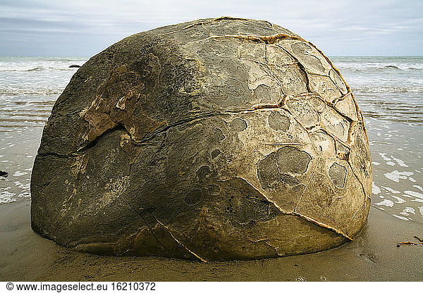 New Zealand  Single boulder on shore