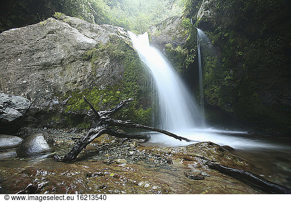 New Zealand  Small waterfall