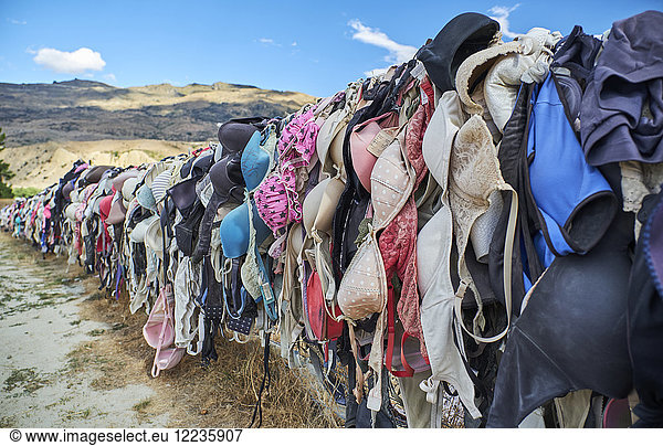 New Zealand  South Island  Crown Range  Cardrona  abundance of bras hanging over fence