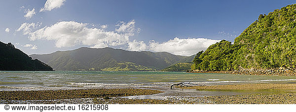 New Zealand  South Island  Marlborough Sounds  Shoreline