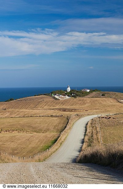 New Zealand South Island Otago Moeraki Katiki Point Lighthouse and country road.