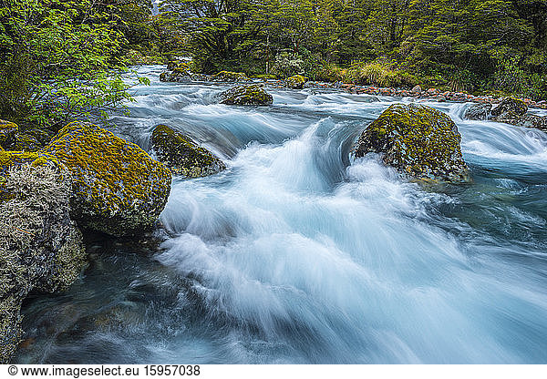 New Zealand  Southland  Te Anau  Long exposure of Hollyford River