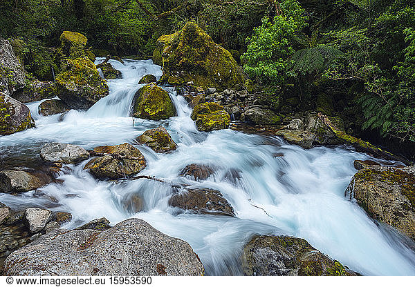 New Zealand  Southland  Te Anau  Long exposure of Marian Creek rushing in Fiordland National Park