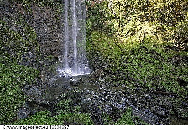 New Zealand  Whakapapa area  Tupapakurua falls