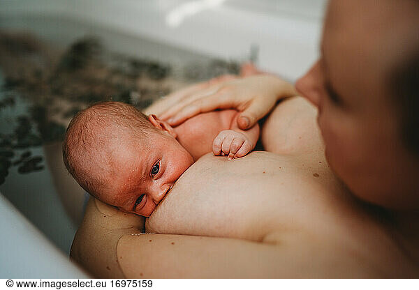 Newborn baby breastfeeding in bath tub while mom touches his back