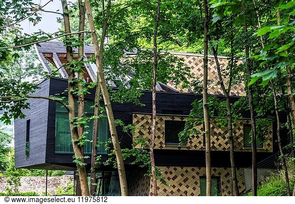 Newly built wooden house in the Kadriorg neighborhood of Tallinn  Estonia  Europe.