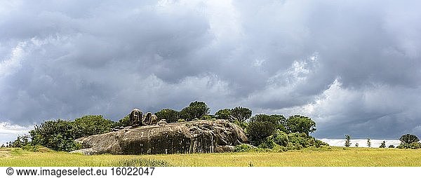 Ngong-Felsen (Felsen). Zentraler Serengeti-Nationalpark. Tansania.