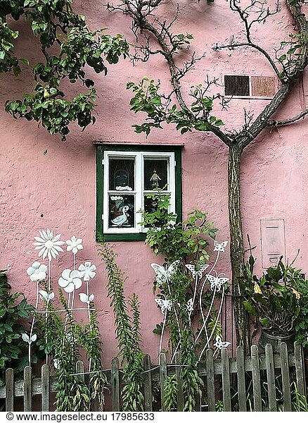 Nice pink house front with window  garden fence and plants  Hallstatt  Salzkammergut  Dachstein region  Upper Austria  Austria  Europe
