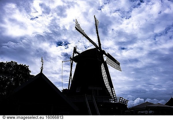 Niederländische Windmühle in Terschelling  Niederlande  Europa.