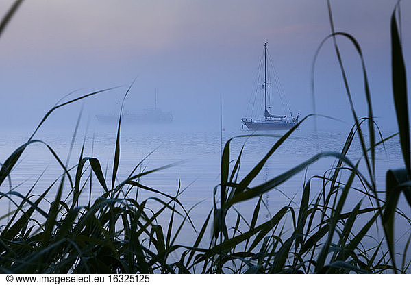 Niederlande  Waterland  Ijsselmeer zur blauen Stunde
