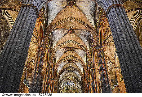 Niederwinkel-Innenansicht des Gewölbes  Kathedrale vom Heiligen Kreuz und der Heiligen Eulalia  Barcelona  Katalonien  Spanien.