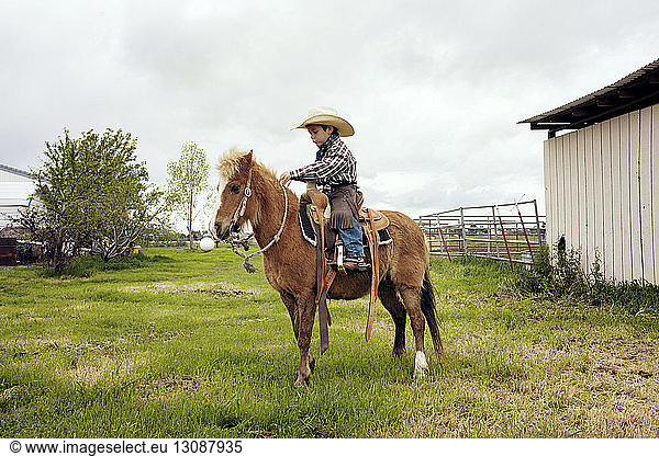 Niedliches Cowboy-Reitpferd auf der Ranch