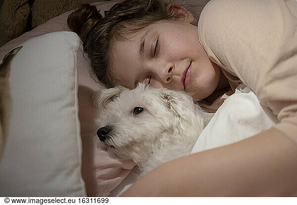 Niedliches Mädchen hält Hund beim Schlafen im Schlafzimmer