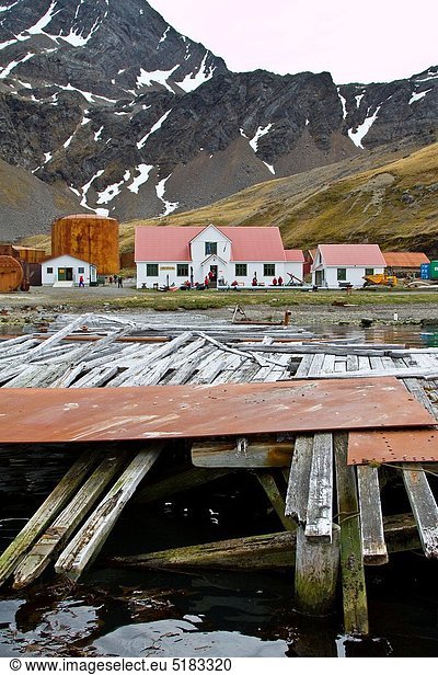 niedrig gebraucht Mann arbeiten nehmen ruhen folgen geschlossen über Versuch angreifen Road Trip Meer 1 Zeit Norwegen Insel angeln Ansicht Entdeckung Wal Rückkehr herzförmig Herz Erfolg Beschluss auswählen Atlantischer Ozean Atlantik Landvermessung Name Gewölbe Jagd Kochtopf verringern Bevölkerungsgruppe Ausbeutung Antarktis 16-17 Jahre 16 bis 17 Jahre Information nebeneinander neben Seite an Seite benutzen Seeelefant Argentinien Angriff Anfang Kapitän Betrieb Dezember englisch Grab Grytviken März November Oktober Öl alt handhaben Platz Robbe Jahreszeit Süden Südgeorgien Haltestelle Haltepunkt Station schwedisch Walfang Witwe
