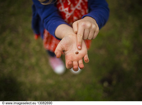 Niedriger Teil eines Mädchens  das einen Marienkäfer hält  während es auf dem Feld steht