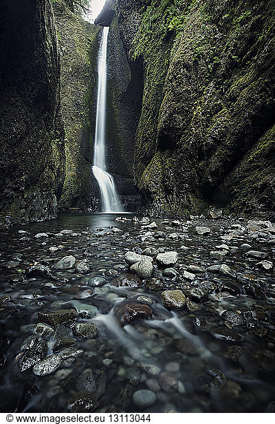 Niedrigwinkelansicht eines idyllischen Wasserfalls im Wald