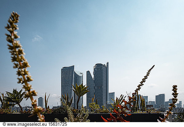 Niedrigwinkelansicht moderner Wolkenkratzer gegen den Himmel in Mexiko-Stadt bei sonnigem Wetter  Mexiko