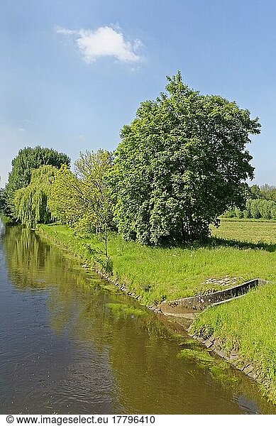 Niers  Grefrath  Kreis Viersen  Nordrhein-Westfalen  Nordrhein-Westfalen  Deutschland  Europa