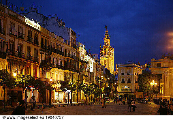 night scene in Seville  Spain