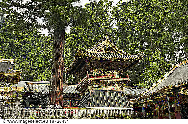 Nikko Toshogu Shrine temple in Nikko at spring  Japan
