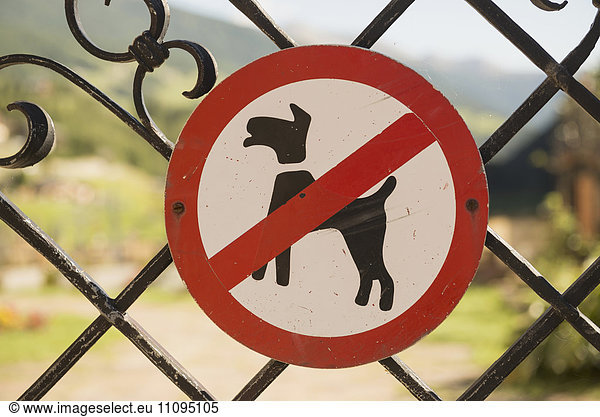 No dogs allowed sign on gate  Carinthia  Austria