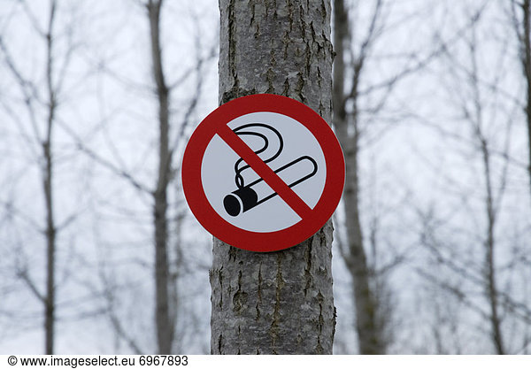 No Smoking Sign Attached to Tree Trunk