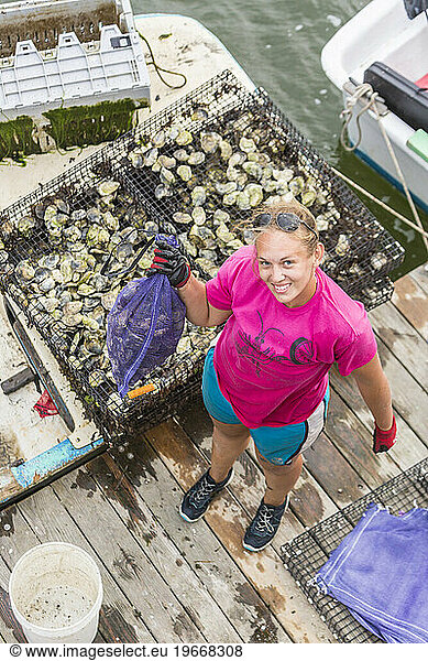 Nonesuch Oysters employee Kim Clark  sorts oysters on a dock at Pine Point in Scarborough  Maine.