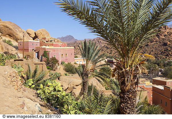 Nordafrika Afrika Marokko Tafraoute